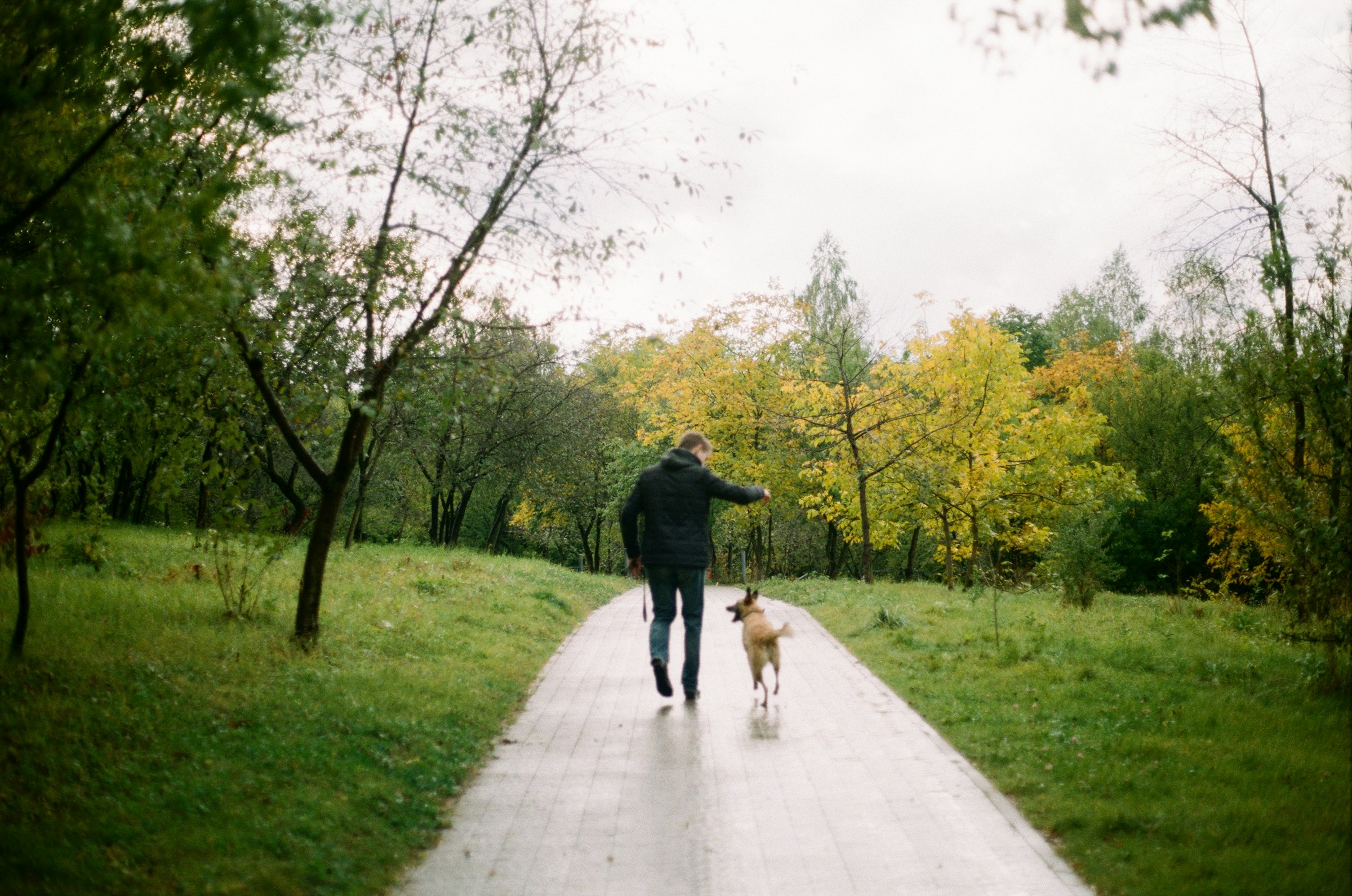 Dog Psychology Says Dogs Who Suddenly Walk Behind You Aren’t Necessarily Tired – They May Be Looking to You for Guidance