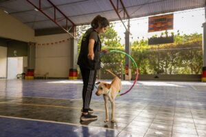 Animal Psychology Says Dogs Can Use Your Reaction to Decide Whether Something Unfamiliar Is Safe or Threatening