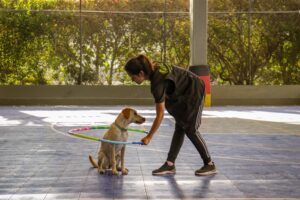 How Long Can a Dog Safely Be Left Home Alone? The Answer Changes More Than Owners Realize
