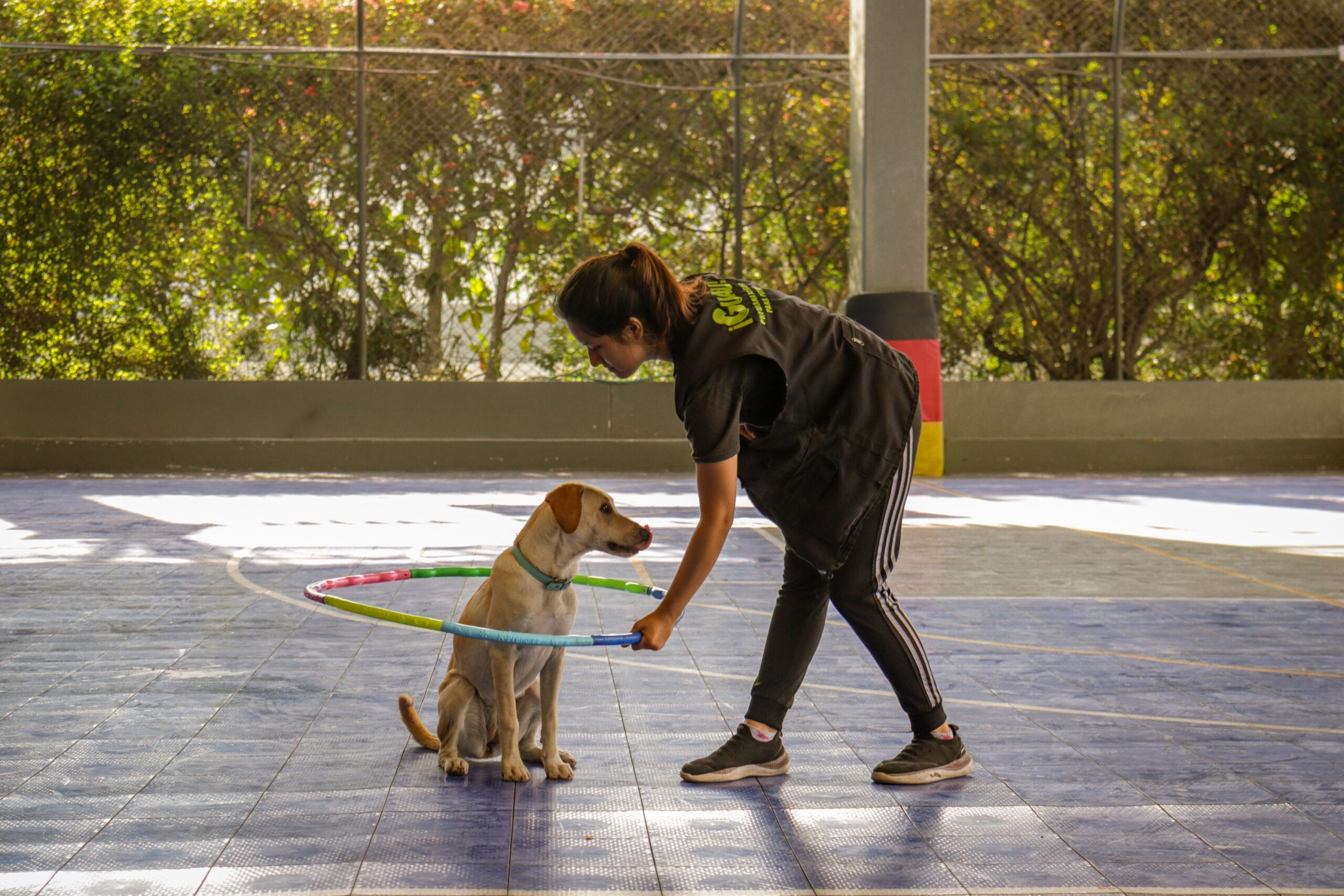 How Long Can a Dog Safely Be Left Home Alone? The Answer Changes More Than Owners Realize
