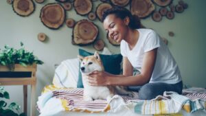 12 Dog Breeds That Look Like Perfect Apartment Dogs but Can Be Surprisingly Difficult in Small Spaces