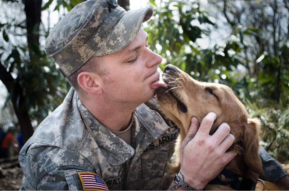 Why a Dog Licks You (It is a Complex Message That Not Everyone Will Understand)
