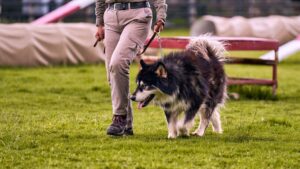Animal Psychology Says Dogs May Behave Differently Depending on Who Holds the Leash – Because Humans Can Change the Context of an Encounter