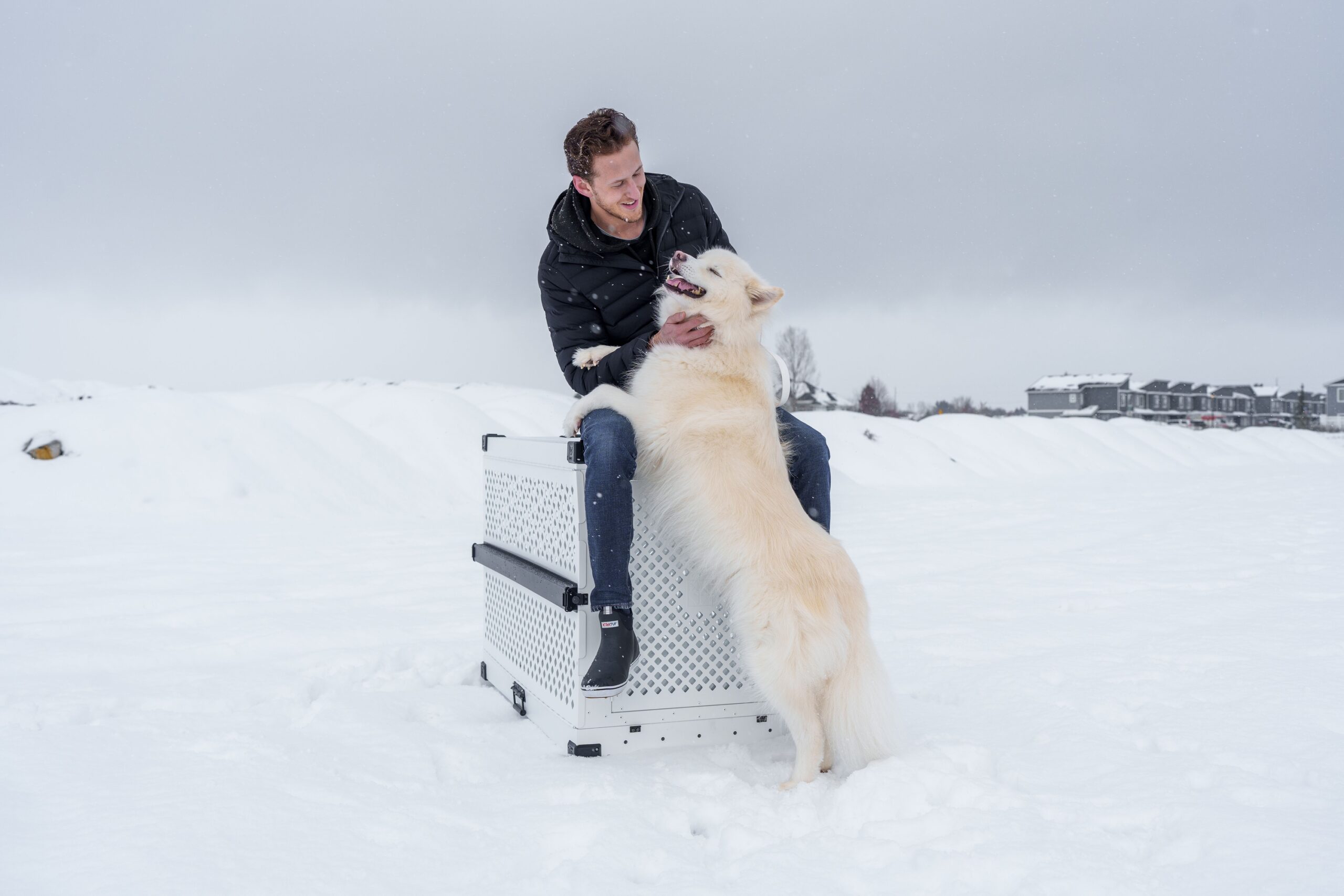 When Your Dog Brings You Something They Shouldn’t Have, They’re Not Always Being Naughty – Your Reaction May Be Part of What They Want