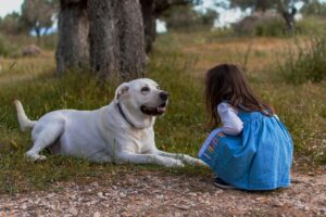 Dog Psychology Says Dogs Who Approach You and Then Walk Away May Be Asking for Interaction on Their Own Terms