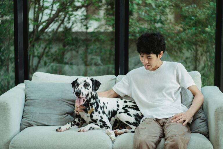 14 Moments a Dog Waits for All Day Without Anyone Realising
