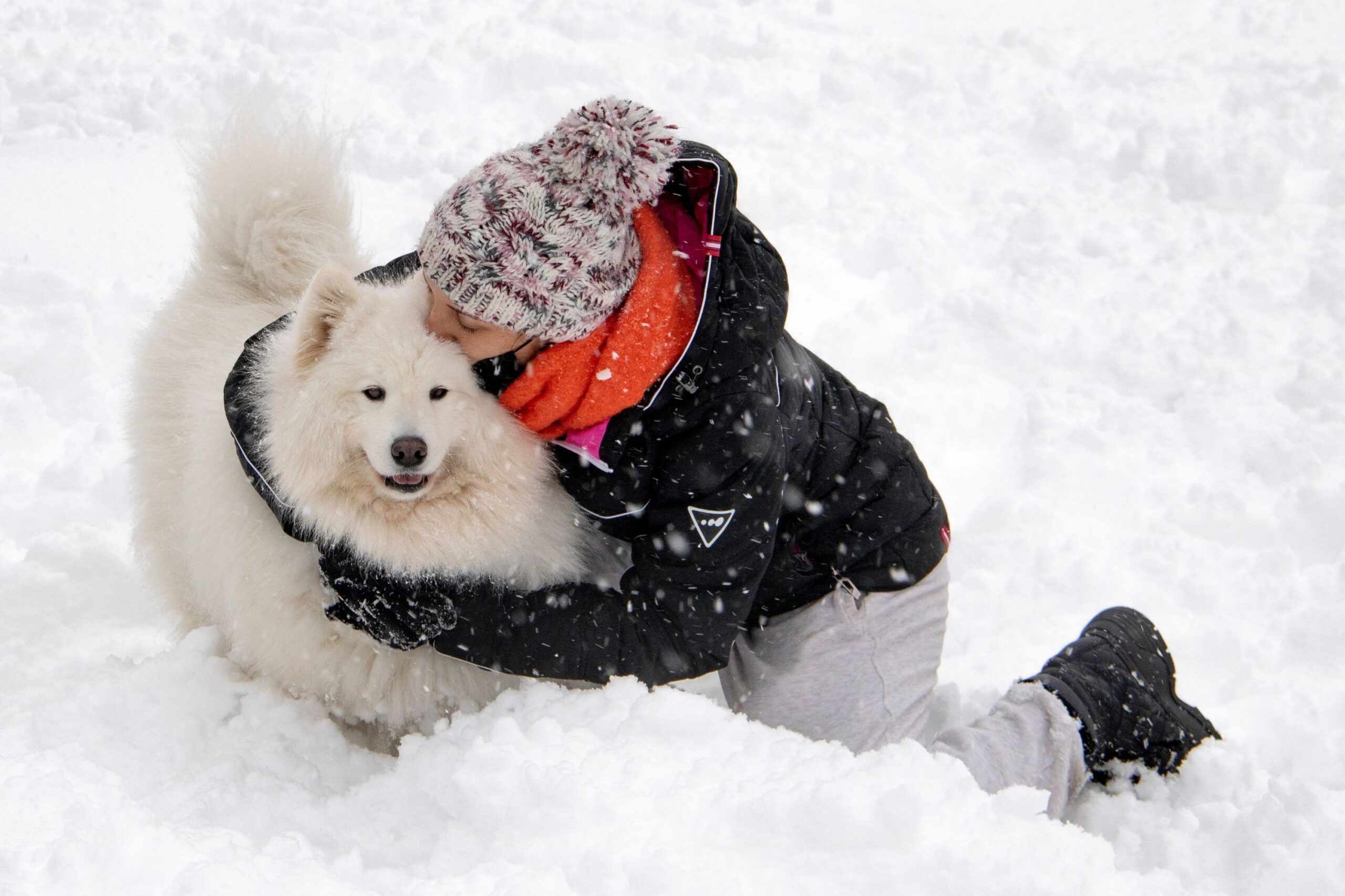 Dogs Who Bark When You Hug Someone Aren’t Necessarily Jealous – The Social Situation May Be Triggering a Completely Different Response
