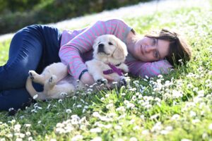 17 Absurd Things Only Golden Retriever Owners Have Ever Made Peace With