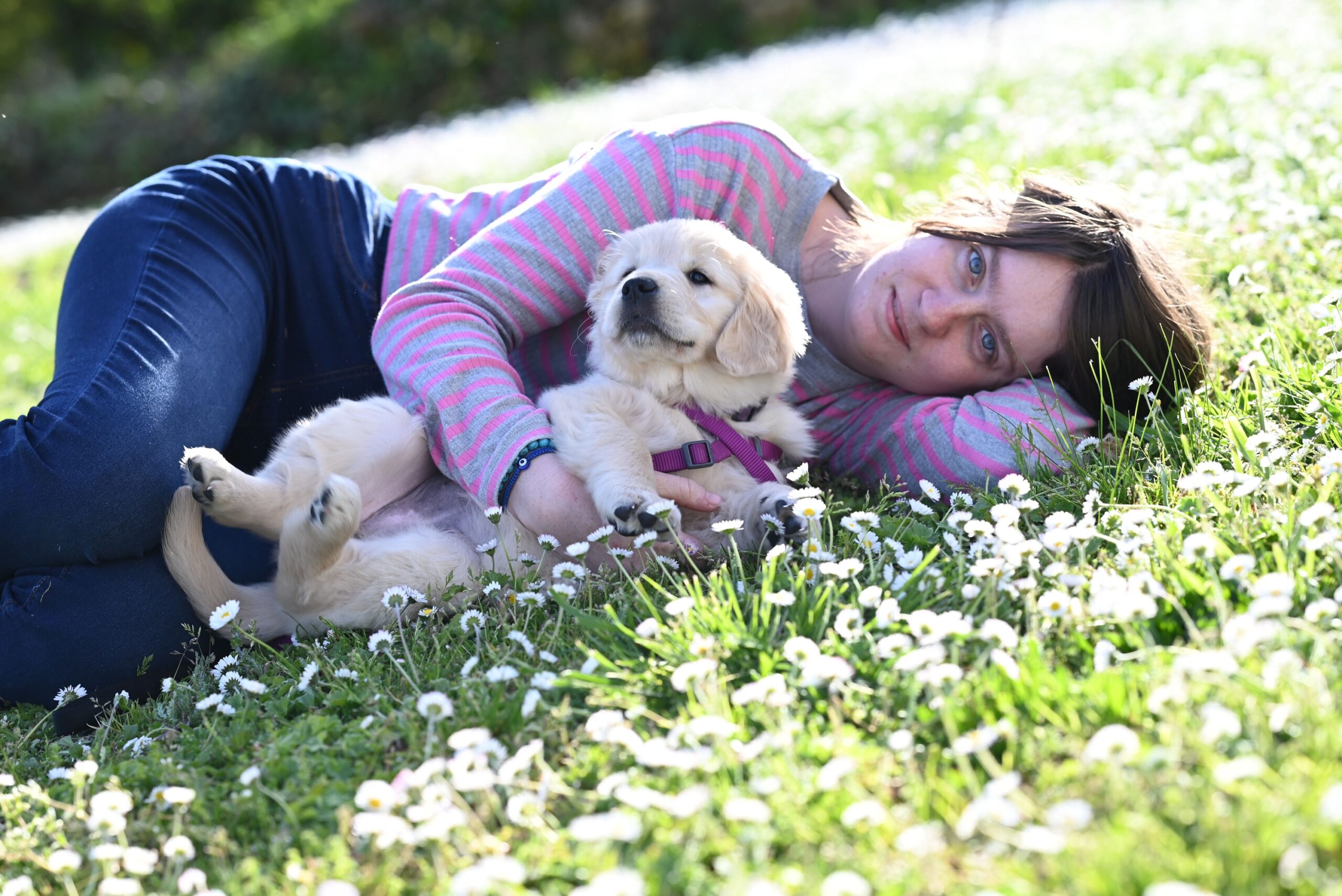 17 Absurd Things Only Golden Retriever Owners Have Ever Made Peace With