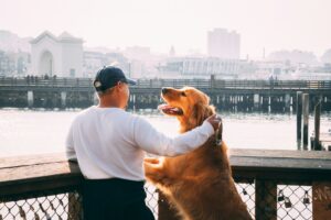 17 Small Kindnesses That Matter Most to a Dog Nearing the End
