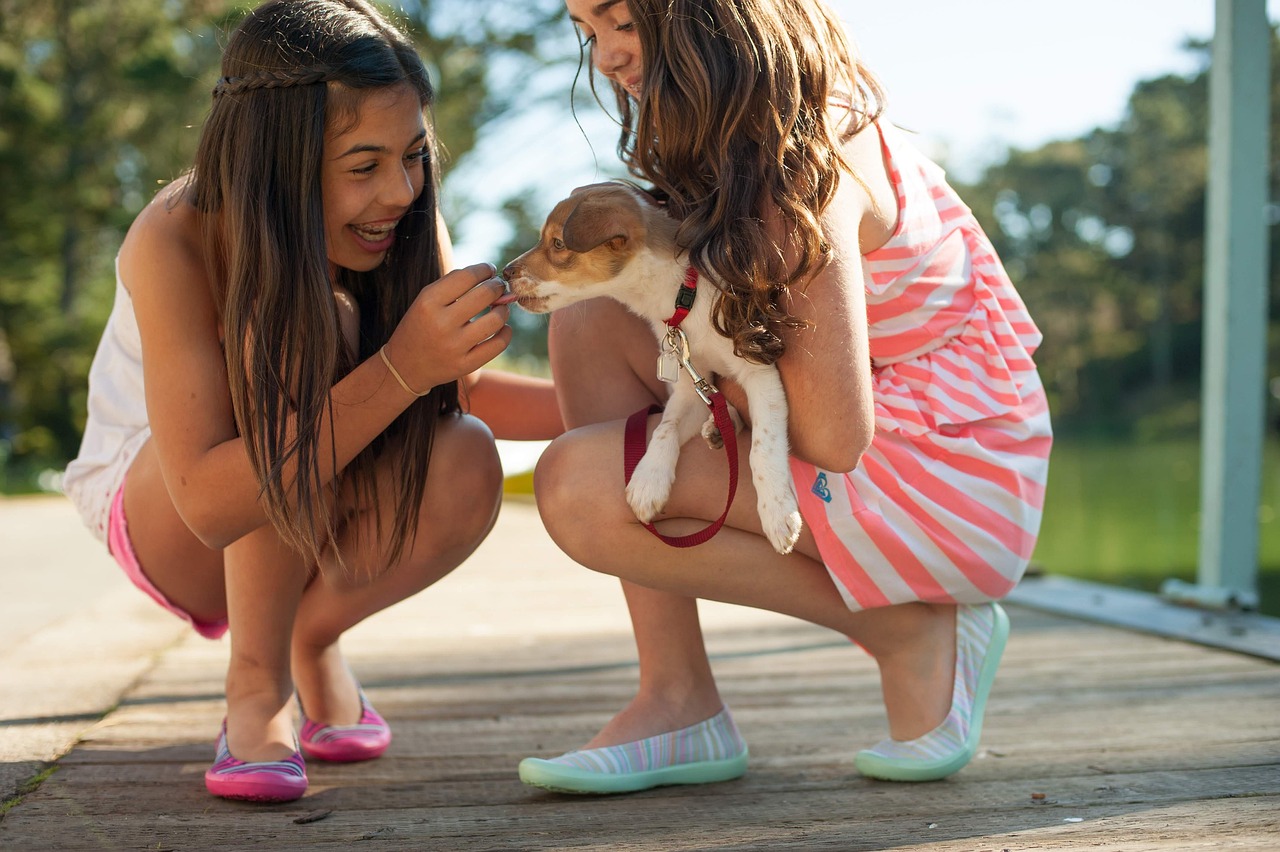 17 Things a Rescue Dog Does in Month Three That It Never Did