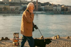 14 Things Senior Dogs Stop Doing That Nobody Thinks to Question