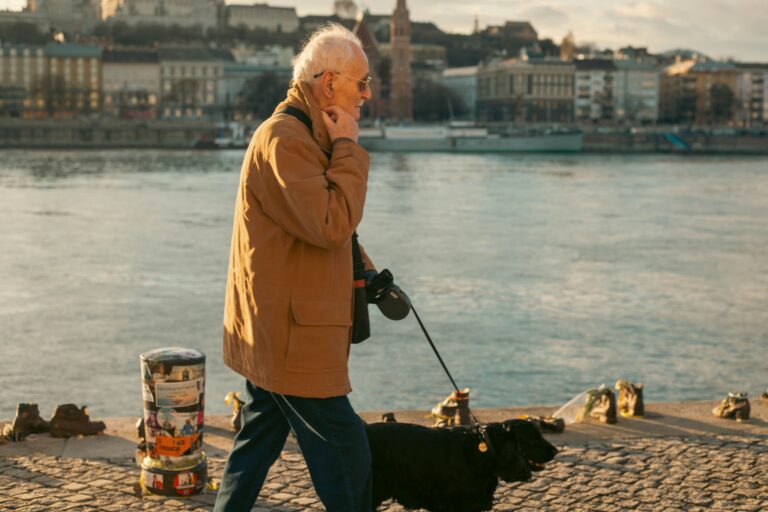 14 Things Senior Dogs Stop Doing That Nobody Thinks to Question
