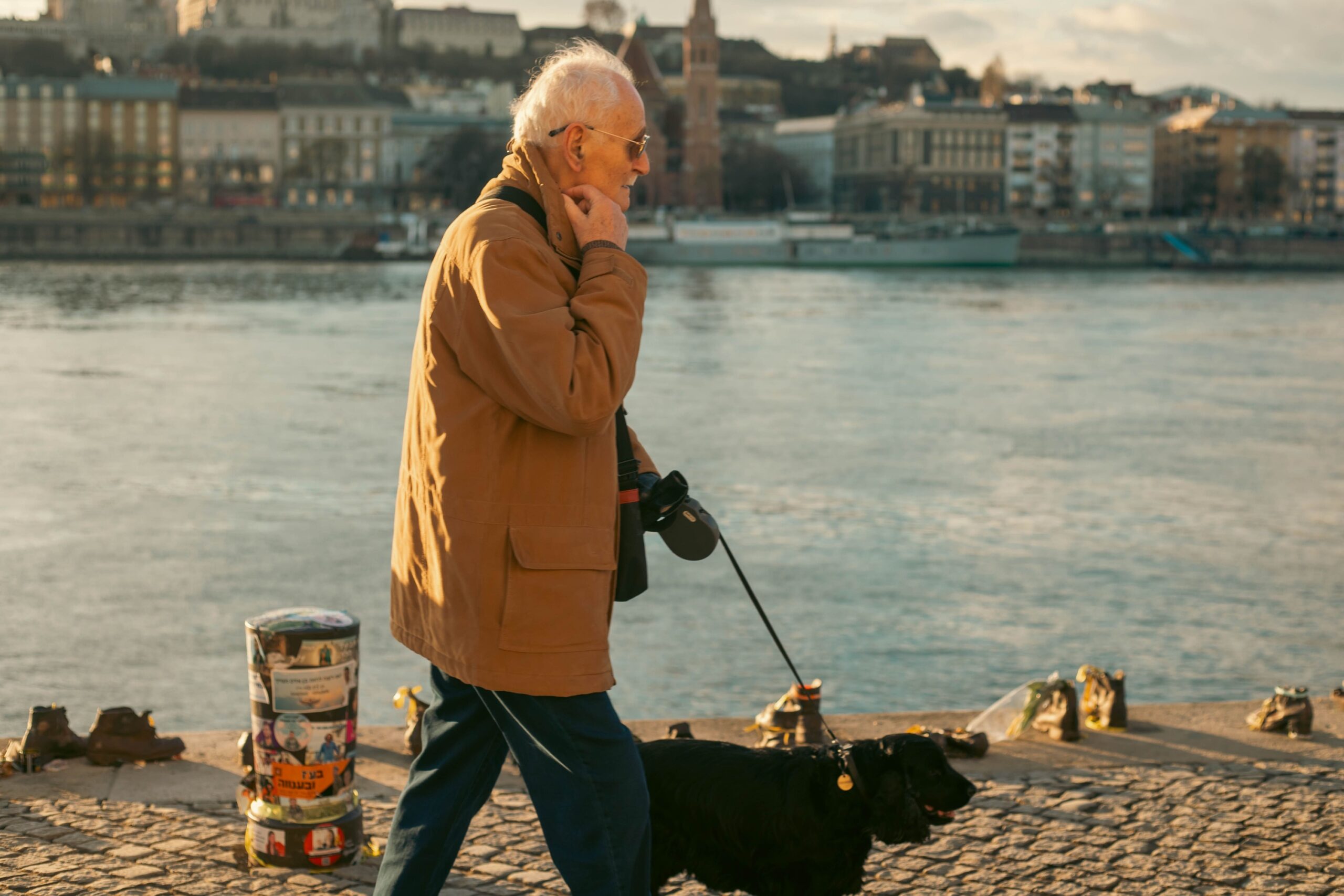 14 Things Senior Dogs Stop Doing That Nobody Thinks to Question