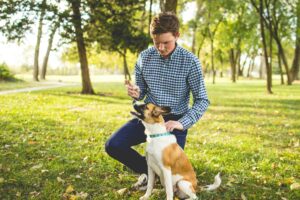 18 Small Things That Quietly Erode a Dogs Trust Over Months