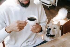 13 Parts of Your Day Your Dog Has Quietly Memorised Completely