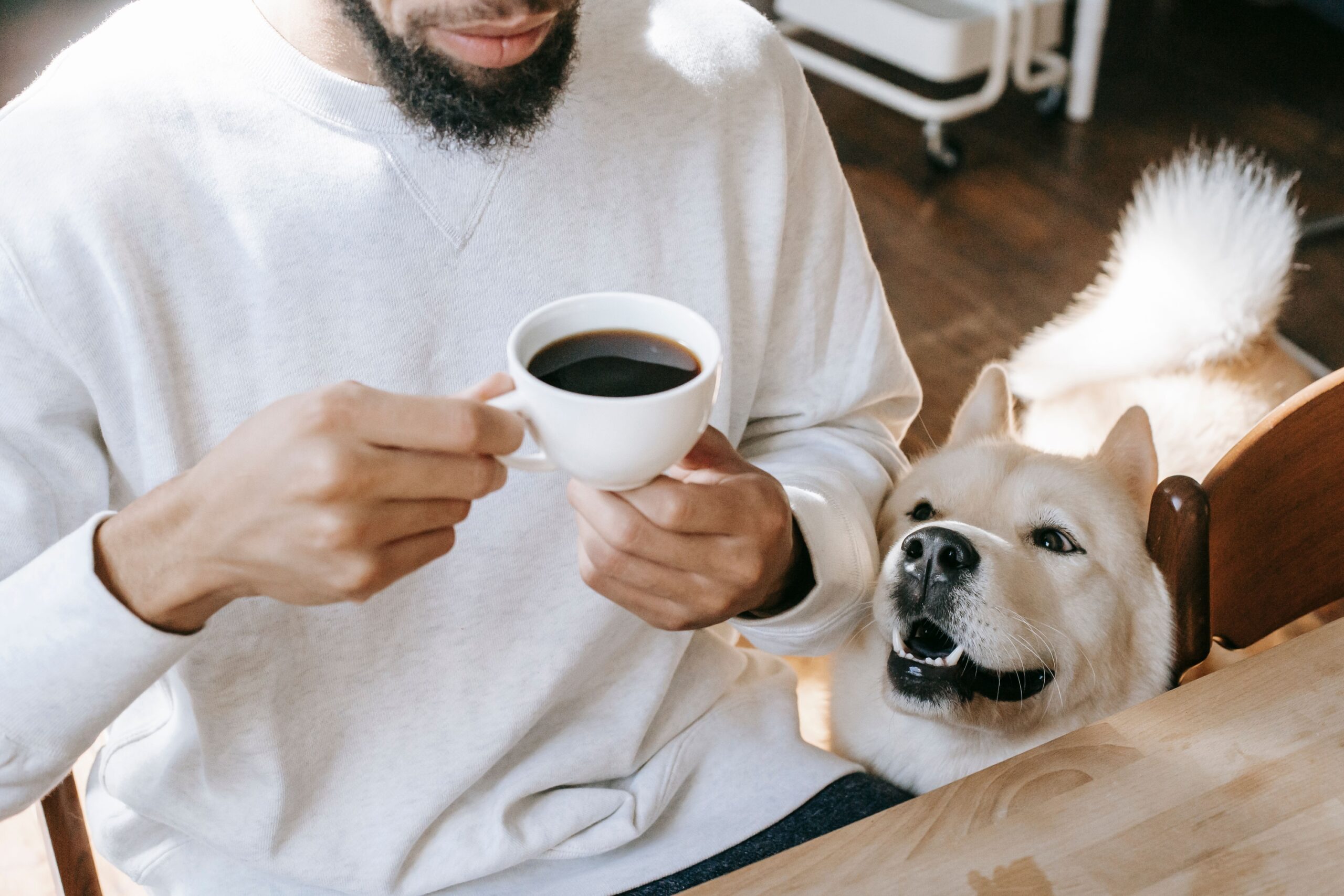 13 Parts of Your Day Your Dog Has Quietly Memorised Completely