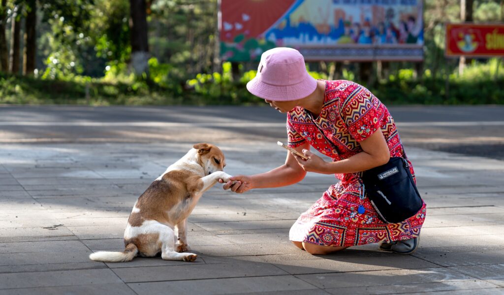 13 Things Dogs Notice About Your Morning Long Before You Speak
