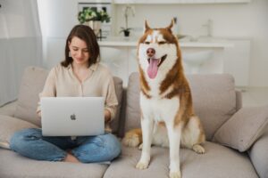 17 Daily Negotiations Only Husky Owners Will Genuinely Recognise
