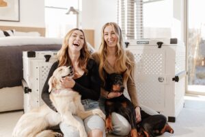 14 Well Meant Routines That Make an Old Dog Feel Less Secure
