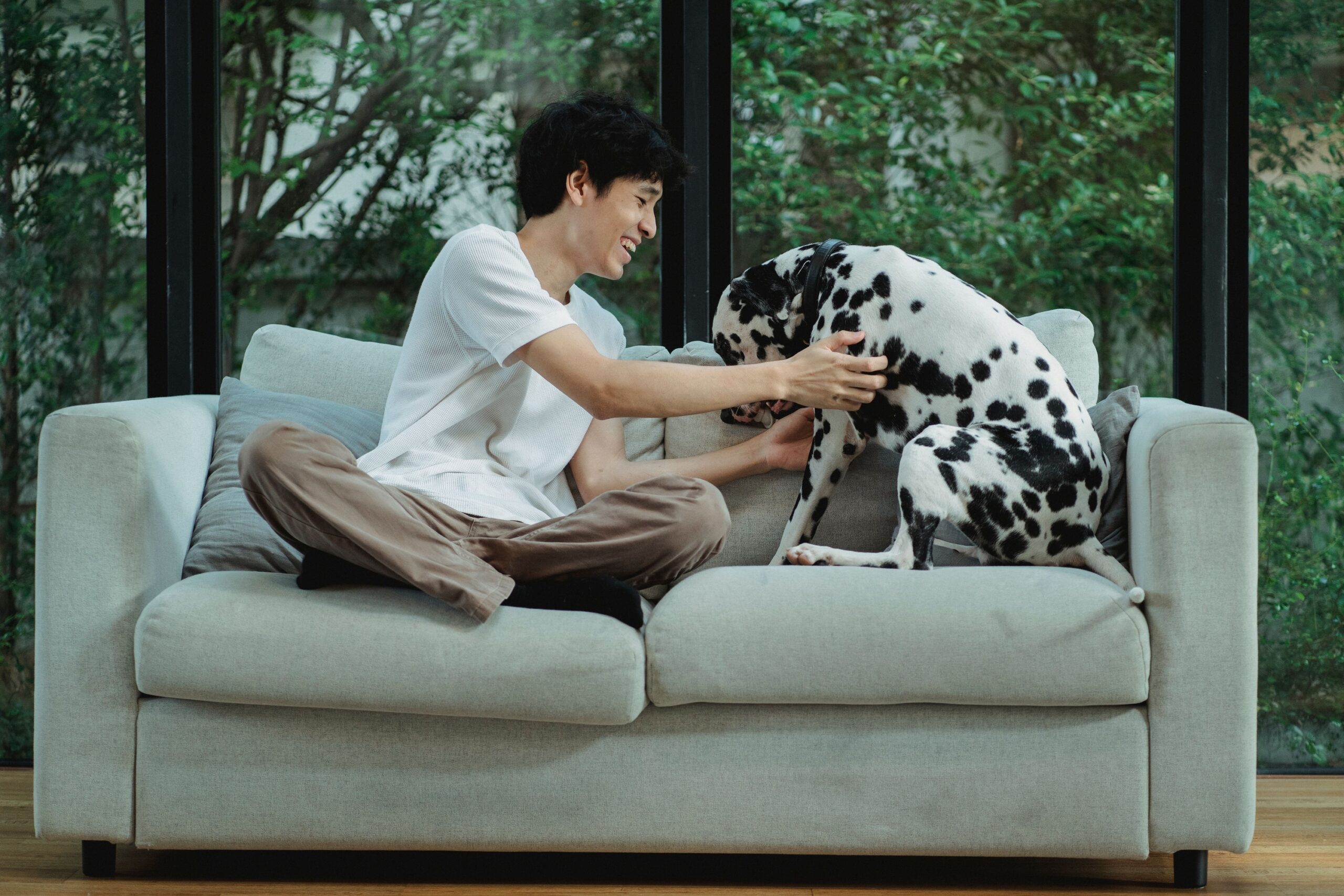 17 Moments Foster Carers Say Reveal a Dog Has Finally Let Go