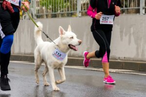 14 Things a Vet Learns About Your Dog in the First Two Minutes