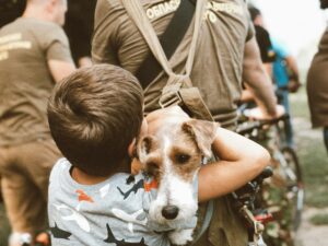 14 Everyday Kindnesses That Quietly Make a Nervous Dog More Anxious