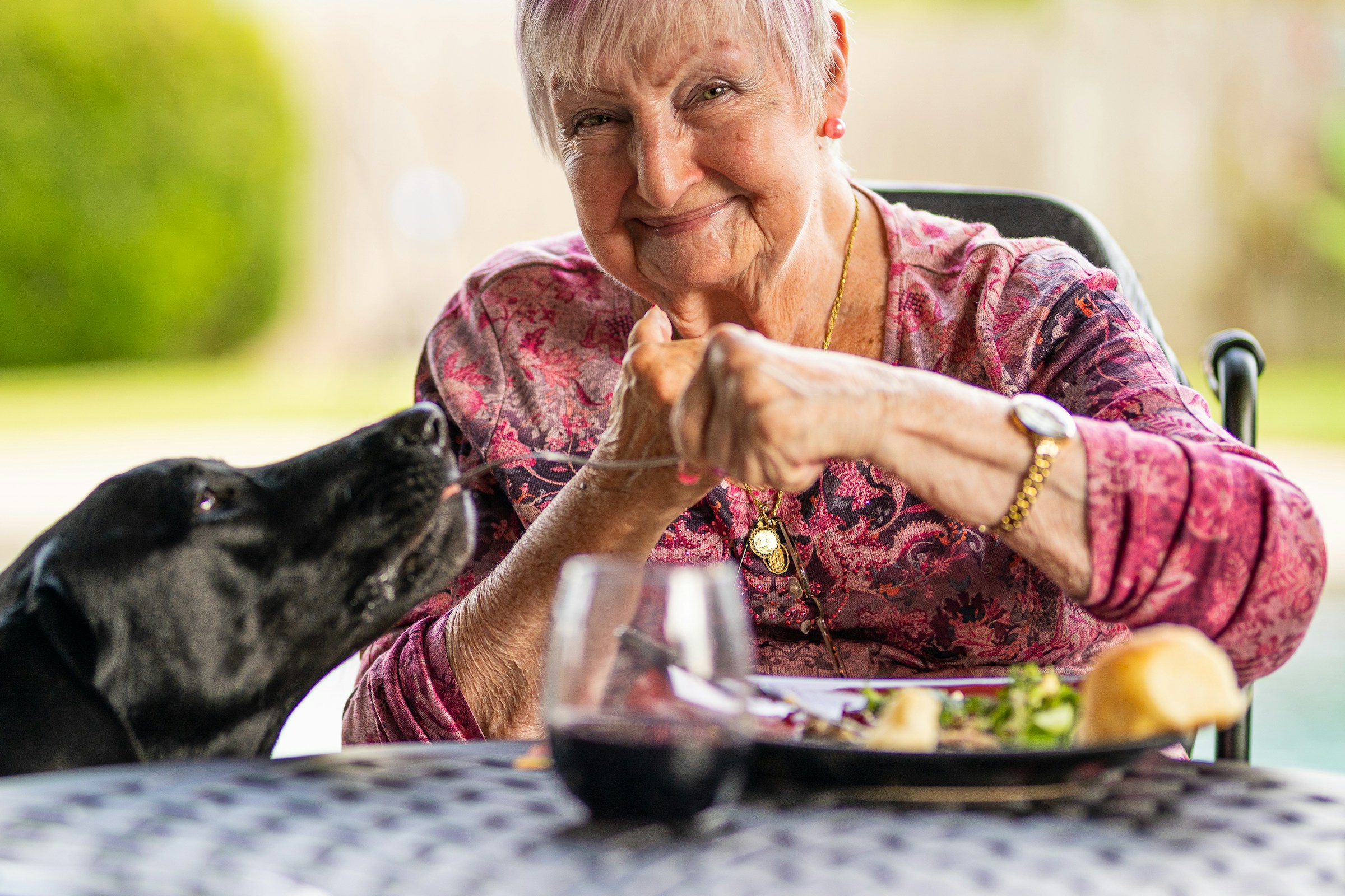 15 Simple Routines That Make Dogs Feel at Home in a Senior’s Life
