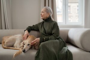 15 Things Vets Quietly Notice About Dogs Owned by Someone Over 75 in the First 5 Minutes