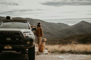14 Small Rituals Dogs Build Around One Person Without Ever Being Taught