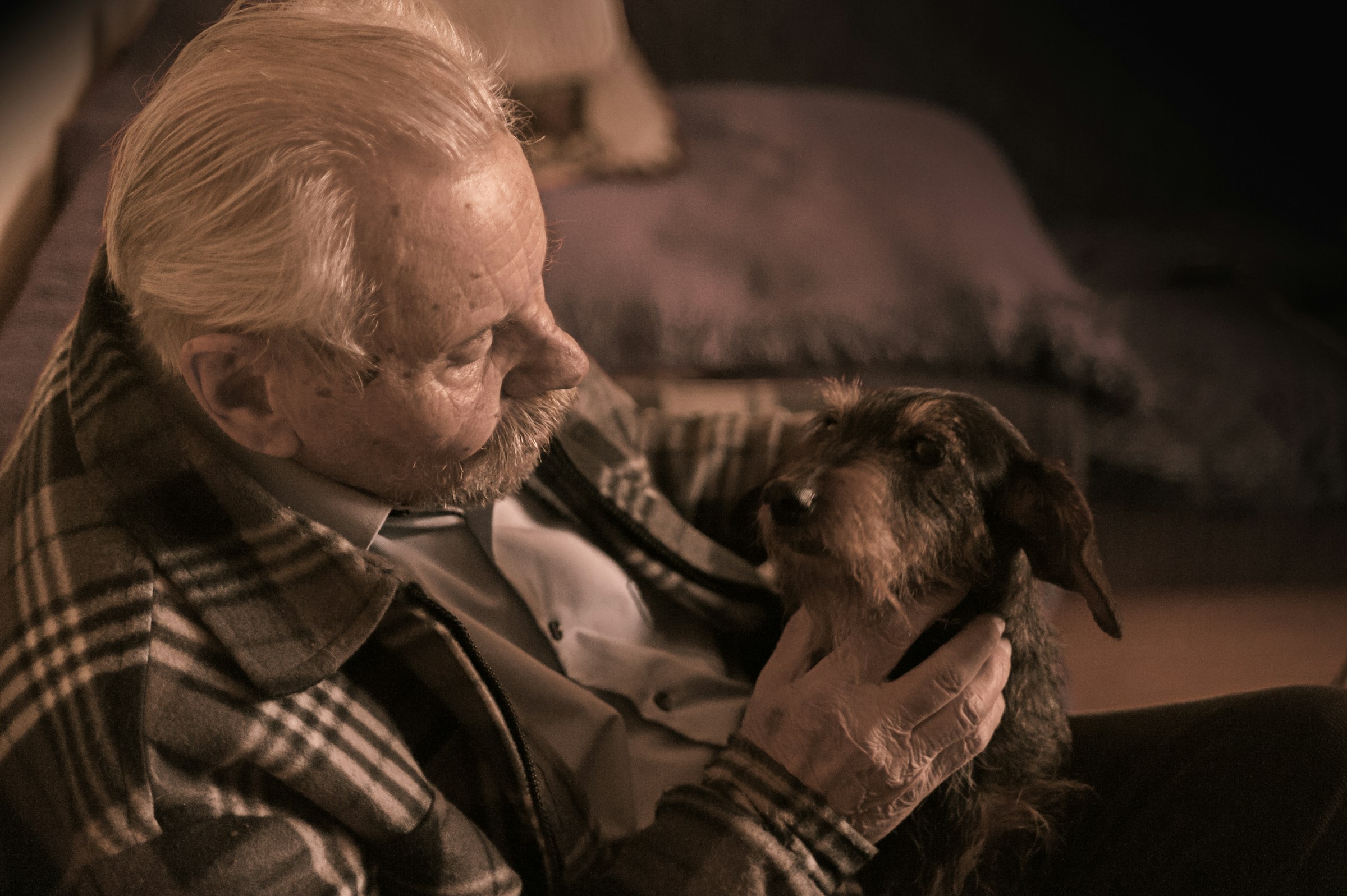 13 Things Pet Sitters Quietly Notice in the First 5 Minutes in a Home Owned by Someone Over 70