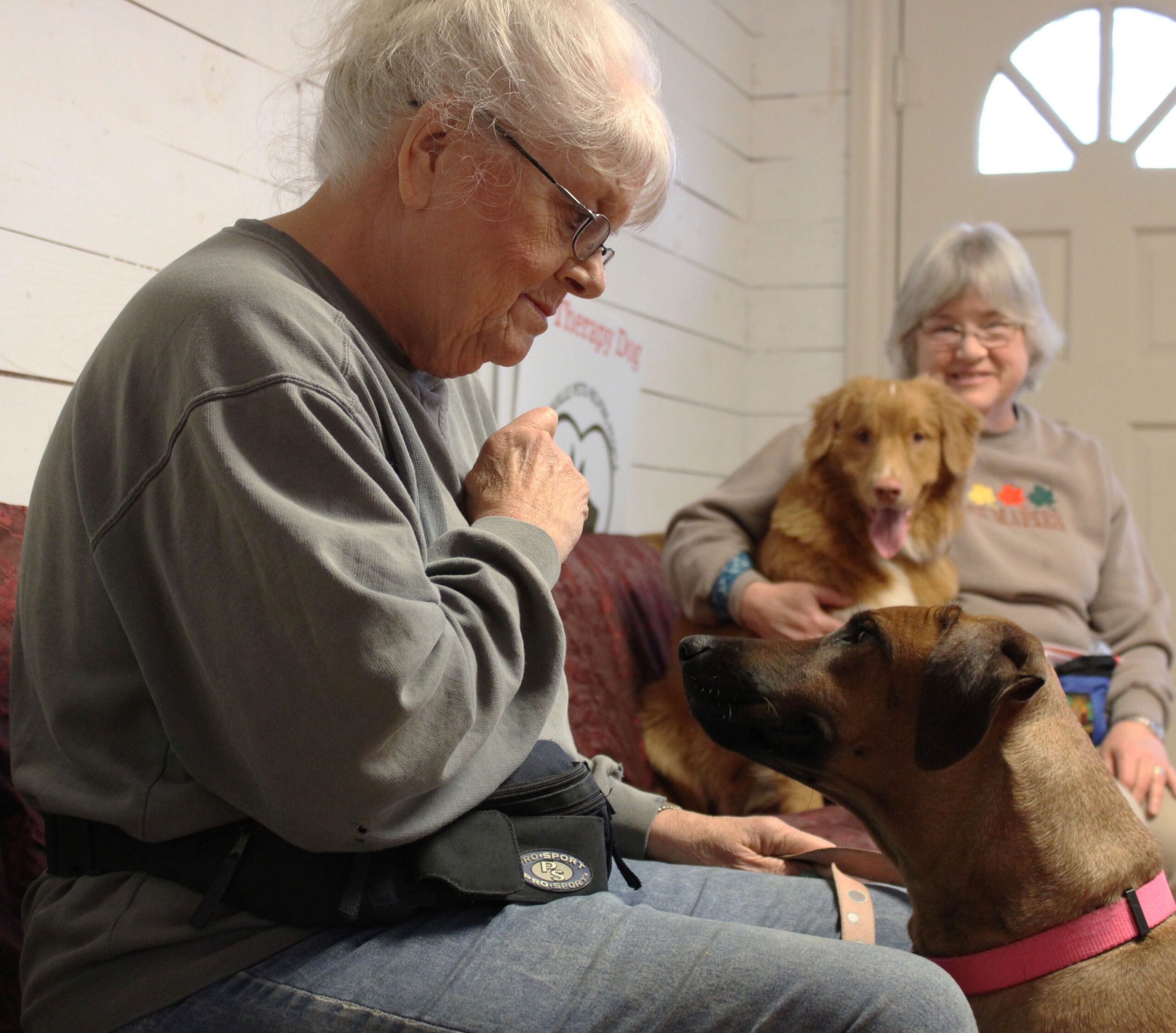 12 Things Shelter Staff Quietly Notice About Adopters Over 70 in the First 5 Minutes