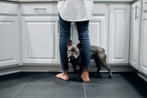 13 Things Dogs Notice About Their Person in the First 5 Minutes of Coming Home