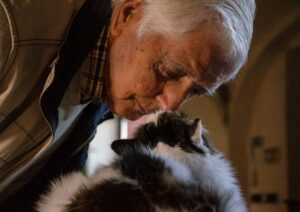 12 Things Vets Quietly Notice About Cats Owned by Someone Over 70 in the First 5 Minutes