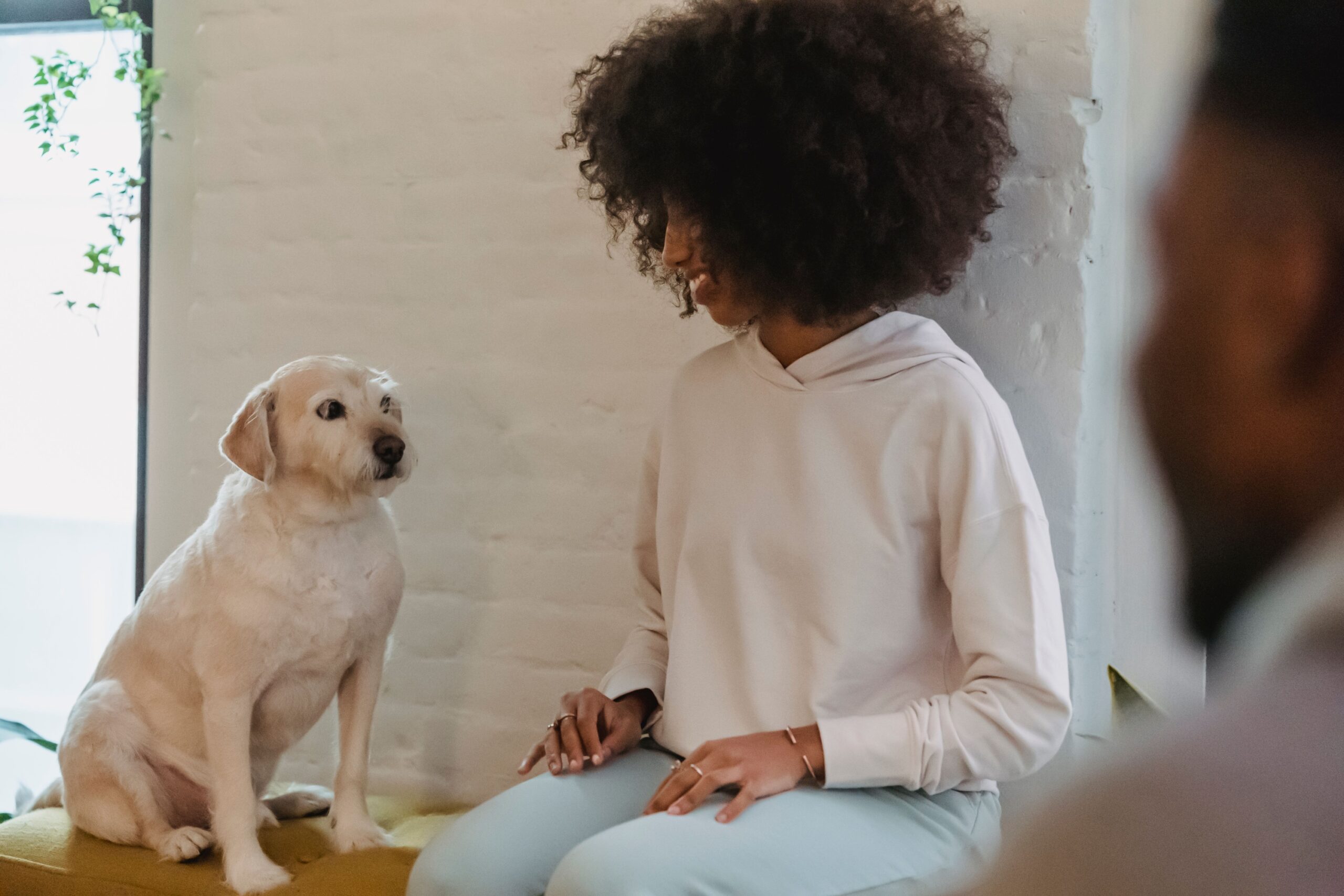 13 Things Dogs Notice About Their Person in the First 5 Minutes of Coming Home