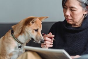 13 Things Estate Planners Quietly Notice When a Pet Is Part of the Family - Most Owners Over 70 Never Think of Them in the First 5 Minutes