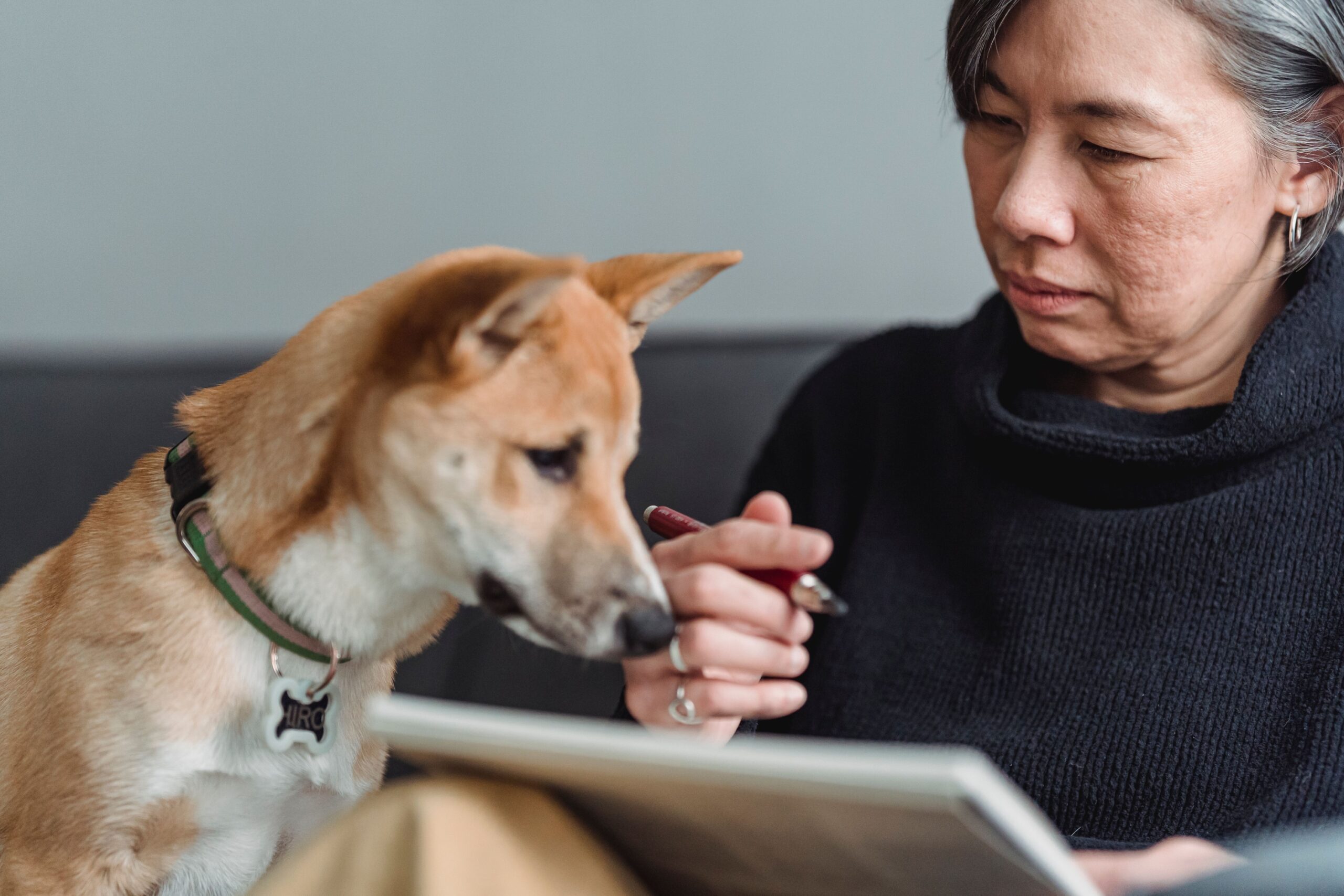 13 Things Estate Planners Quietly Notice When a Pet Is Part of the Family - Most Owners Over 70 Never Think of Them in the First 5 Minutes
