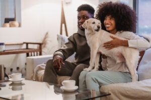 12 Questions Vets Quietly Wish Owners Over 70 Would Ask at Every Senior-Dog Visit