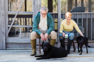 14 Things Groomers Quietly Notice About Dogs Owned by Someone Over 70