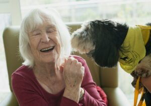 13 Signs Your Senior Dog Still Has Happy Years Ahead - Vets Say Most Owners Worry Too Soon