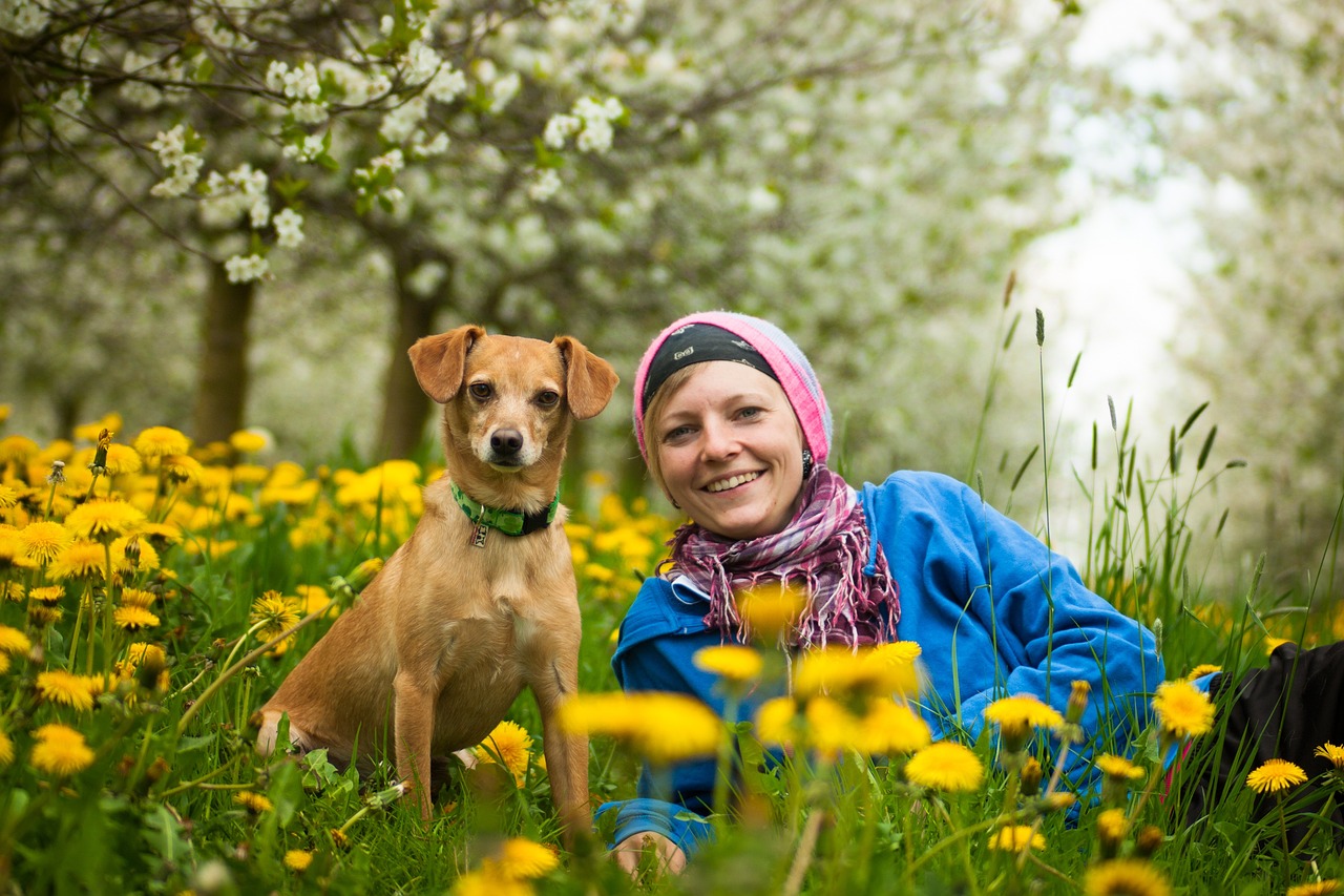 Research Confirms That When Dogs See Their Owner's Face in an MRI Study the Reward Centers of Their Brain Activate - Meaning Your Face Alone Generates a Neurological Reward Response in Your Dog