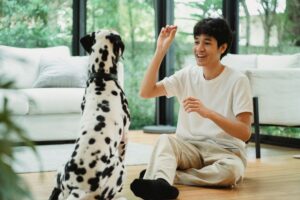 Research Says Dogs Turn Their Head or Body Away During Tense Interactions as a Deliberate Communication Signal - Not Inattention - That Functions to Signal They Pose No Threat