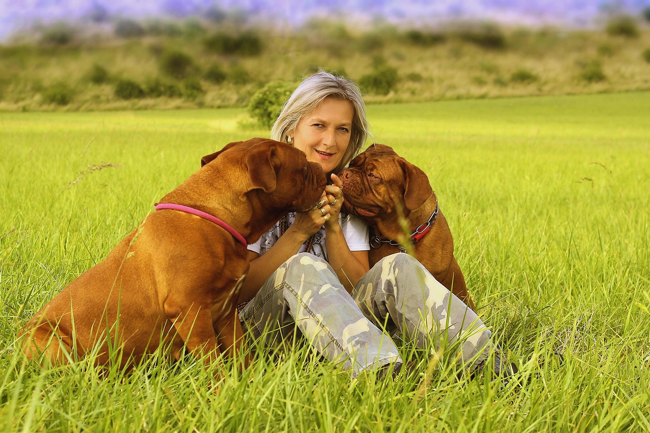 7 Reasons Dogs Sometimes Sit With Their Back Pressed Against You