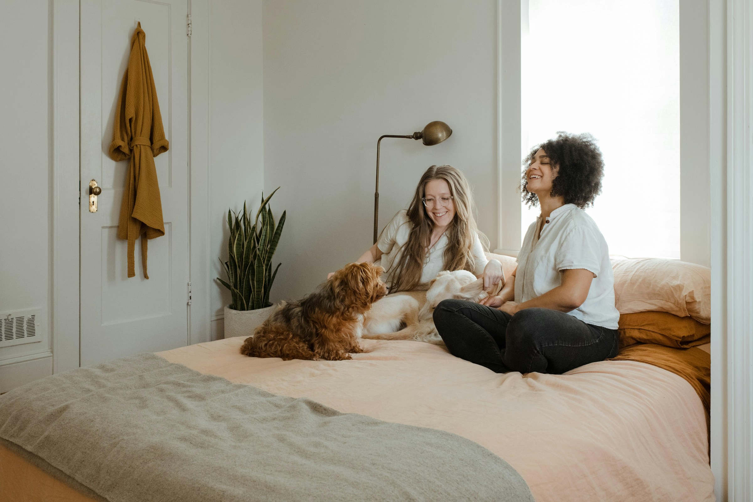 8 Signs Your Dog Trusts Another Dog More Than Their Play Style Suggests