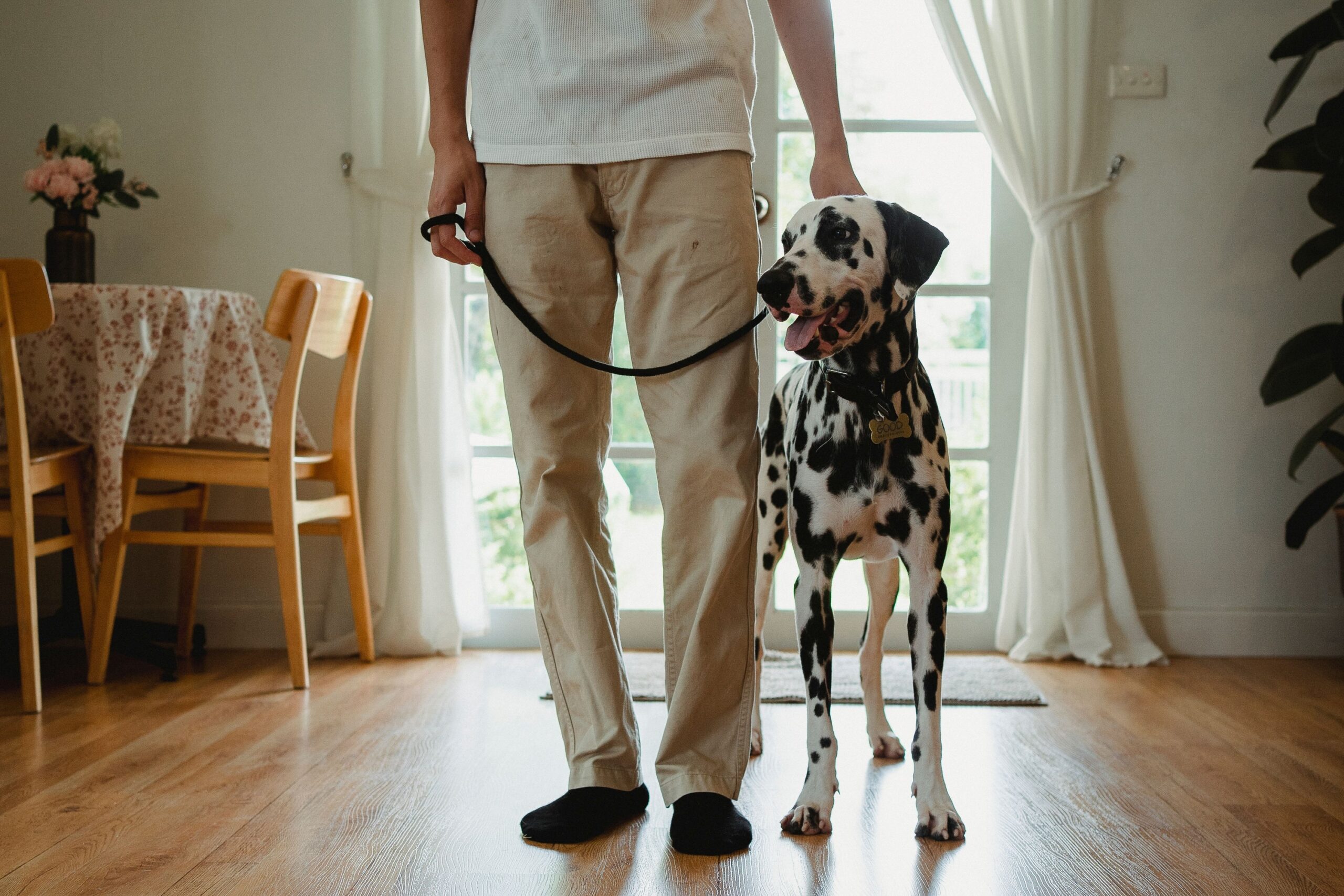 10 Things Your Dog Will Remember About You Long After You're Gone - Even if You Never Knew They Were Watching