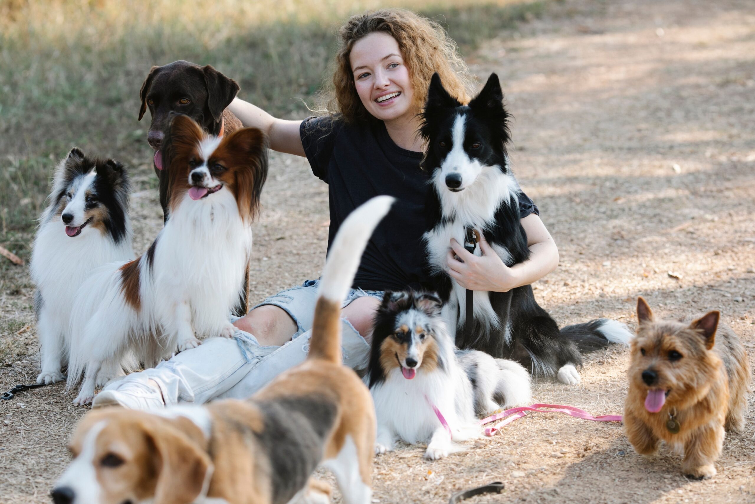 9 Ordinary Moments That Mean More to Your Dog Than Any Treat, Toy or Walk You've Ever Given Them