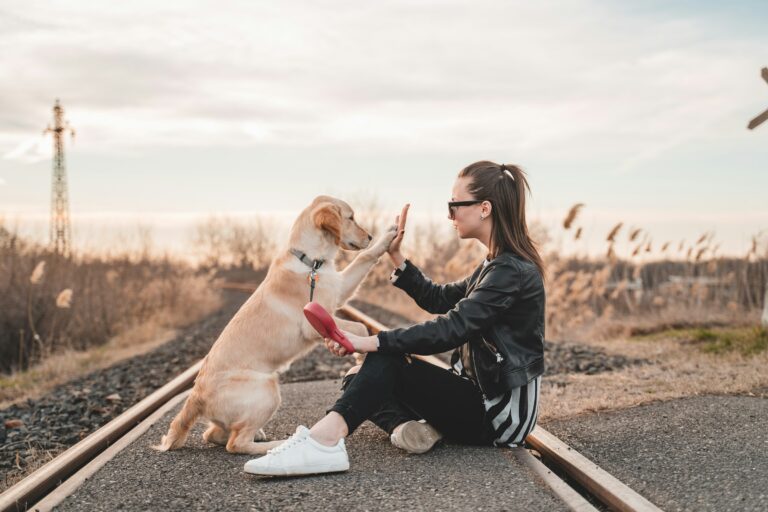 Research Shows That Dogs Who Sit or Lie Down With Their Back Turned to a Perceived Threat Are Not Ignoring It - Turning the Back Is a Documented Appeasement Gesture That Communicates Non-Aggression