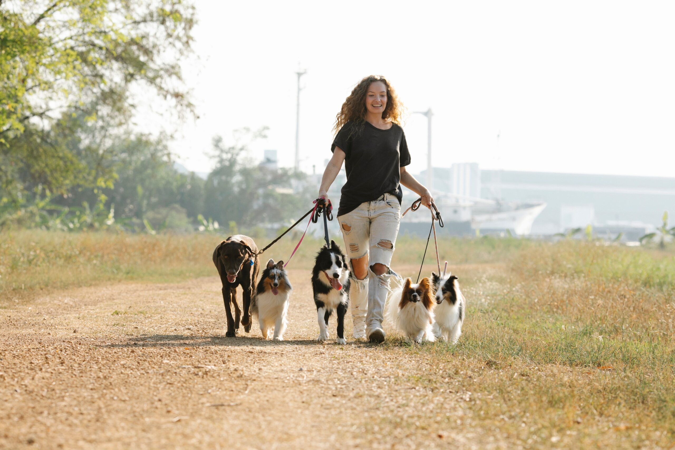 15 Things About You That Make Your Dog Feel Like They Belong Somewhere