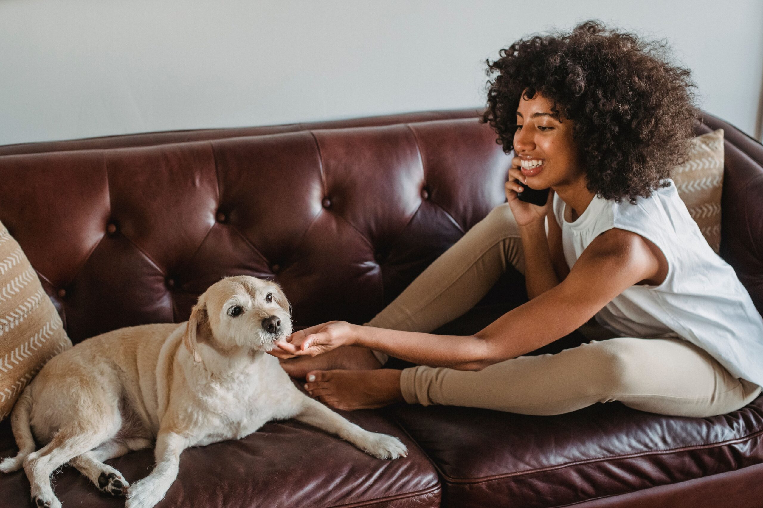 15 Small Moments That Mean Almost Nothing to You but Everything to Your Dog
