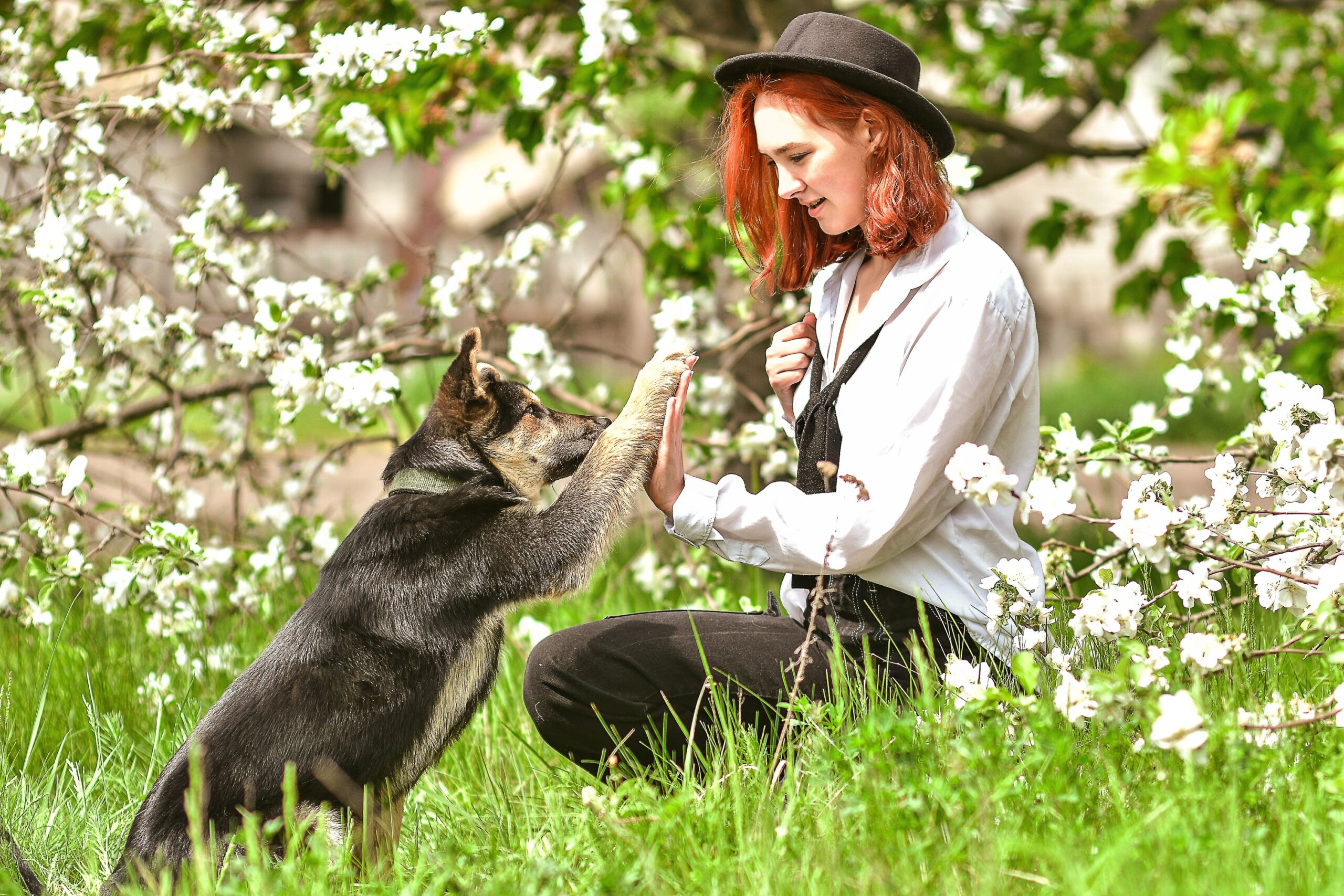14 Abilities in Rescue Dogs Specialists Concede They Have Never Satisfactorily Explained to Anyone Who Asks